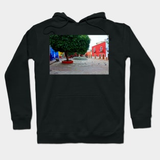 Jolie place à Guanajuato Hoodie